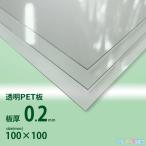ＰＥＴ0.2ｍｍ厚　Ｗ100ｘＨ100[ｍｍ]