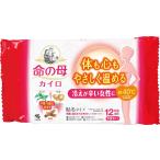 【送料無料・一部地域を除く】【まとめ買い6袋】小林製薬 命の母 カイロ 貼る 10個入