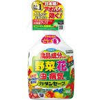 フマキラー　 ハンドスプレー カダンセーフ1000ml