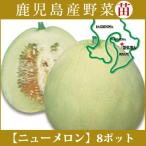  овощи рассада! [ рассада ] новый дыня [makwa] 8 шт. комплект (9cm pot ) Кагосима 