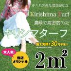 芝生 キリシマターフ 2平米 鹿児島産