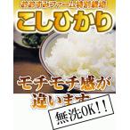 [. мир 2 год производство ].. древесный уголь ферма. специальный культивирование .........5kg новый рис . мир 2 год производство дополнение [ включая доставку ]