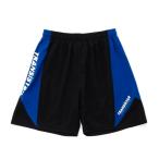  игра брюки HB Game Pants PENNANT