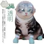 猫用マスク 口輪 フートカバー付き 