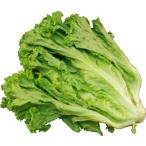  зеленый leaf 1. Kyushu производство ( Fukuoka, Ooita и т.п. )