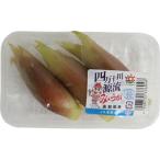  японский имбирь (. груз ) 1 упаковка Kochi производство * Kyushu производство 