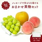  администратор тщательно отобранный лотерейный мешок!.. .. было использовано случайный комплект [ лотерейный мешок * Fukuoka departure ] фрукты комплект * фрукты комплект * фрукты набор * фрукты набор [RCP]