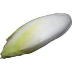  аппетит .. ультра делать! Anne ti-b( цикорий ) Belgium производство 1 шар примерно 120g