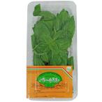  базилик 1 упаковка Kyushu * Fukuoka производство 