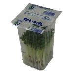  Kyushu производство .. трещина ( kai трещина *. трещина дайкон ) 1 упаковка Kyushu. безопасность * безопасный овощи! [ Kyushu * Fukuoka производство ]