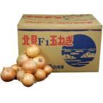 [ коробка продажа ] Hokkaido лук репчатый ( шар лук порей * лук ) L большой *L размер 1 коробка ( примерно 20kg) Hokkaido производство [ для бизнеса * много распродажа ]