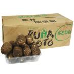 [ коробка продажа ] таро (....) 2L~L размер 1 коробка (10kg) Kumamoto * Kyushu [ для бизнеса * много распродажа ]