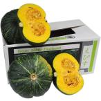 [ коробка продажа ] юг .( тыква ) 1 коробка ( примерно 10kg|4 шар ~7 шар ) ( местного производства * импорт ) [ для бизнеса * много распродажа ][RCP]