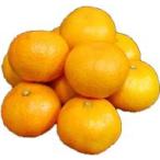  мандарин S~L размер примерно 1kg8 шар ~12 шар [ Kyushu производство ]