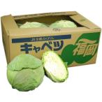 【箱売り】　キャベツ（きゃべつ）　１箱（６玉〜１０玉入り）　九州産・国産　【業務用・大量販売】【RCP】