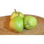 la Франция 3 шар Yamagata * Nagano * Fukushima 