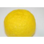 ..( yuzu * желтый ..) 1 шар ( Kochi * Ooita * Fukuoka )