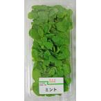  мята 1 упаковка местного производства трава * овощи *...