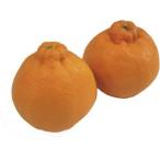 ショッピングデコポン でこぽん（デコポン）　２玉　九州産