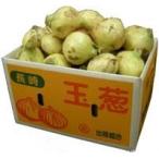  лук ( лук репчатый ) 10kg 1 коробка L*M размер Saga * Fukuoka * Nagasaki производство 