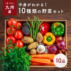 なかみが分かる 九州野菜セット《なかみが分かる 九州野菜セット《きゃべつ・なす・みにとまと・玉ねぎ・きゅうり・しめじ・えのき・青ネギ・ピーマン・生姜》》