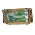  цветок ..( цветок чесночный лук ) 10 пачка 1 коробка 