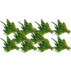  сырой. было использовано - витамин C. вдоволь! Kyushu производство синий красный острый перец ( перец стручковый *tougalasi) 1 пачка примерно 50g×10 пачка [ Kyushu * Fukuoka производство * овощи ]