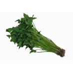  Kyushu производство ...( три лист * Mitsuba ) 1 пачка аромат . жизнь! Kyushu. безопасность * безопасный овощи! [ Fukuoka * Kyushu ]