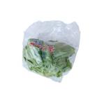  Kyushu производство салат .( масло head ) 1 пакет салат овощи Kyushu. безопасность * безопасный овощи! [ Kyushu * Fukuoka производство ]