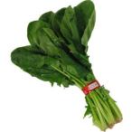 ( выгода )[ местного производства Kyushu * Nagano и т.п. ] шпинат ( howe объединенный ) 10 пачка ( продажа комплектом )