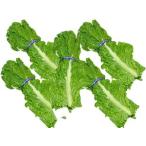  и ..5 пачка (1 пачка 3~5 листов ) Fukuoka производство 