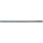 576らっきょう竹