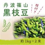 2023年産 丹波篠山 丹波黒大豆 黒えだ豆 枝付き 2束箱 送料無料