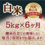 お米 定期便 コシヒカリ 丹波篠山産 送料無料 特A 精白米 令和5年 5kg 6ヶ月