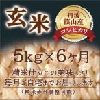 お米 定期便 コシヒカリ 丹波篠山産 送料無料 特A 玄米 令和5年 5kg 6ヶ月