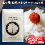 お米 ギフト 米 (300g 約