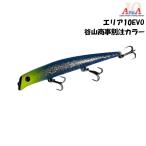 ガイア エリア10 EVO エボ 問屋限定カラー 谷山オリカラ (メール便可) エリテン