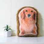 犬　猫　ペット　メモリアル　クッション　グッズ　ぬいぐるみ　ペットロス　オーダーメイド　写真　うちの子　親バカ　グッズ　ミニチュアダックス