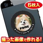 名入れ　犬用　ステッカー/シール　オリジナル/オーダーメイド　スマホ/ケータイ用等　写真入り　6枚入　c072