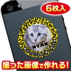 猫　名札　ステッカー/シール　オーダーメイド/オリジナル　スマホ/ガラケー/ケータイ　写真/名前入り　6枚入　　c024