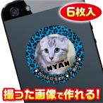 猫　名札　ステッカー/シール　オーダーメイド/オリジナル　スマホ/ガラケー/ケータイ　写真/名前入り　6枚入　　c025