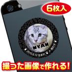 猫　名札　ステッカー/シール　オーダーメイド/オリジナル　スマホ/ガラケー/ケータイ　写真/名前入り　6枚入　　c027