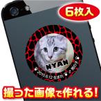 猫　名札　ステッカー/シール　オーダーメイド/オリジナル　スマホ/ガラケー/ケータイ　写真/名前入り　6枚入　　c035