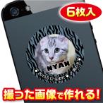 猫　名札　ステッカー/シール　オーダーメイド/オリジナル　スマホ/ガラケー/ケータイ　写真/名前入り　6枚入　　c039