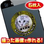 猫　名札　ステッカー/シール　オーダーメイド/オリジナル　スマホ/ガラケー/ケータイ　写真/名前入り　6枚入　　c051