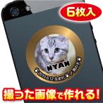 猫　名札　ステッカー/シール　オーダーメイド/オリジナル　スマホ/ガラケー/ケータイ　写真/名前入り　6枚入　　c076