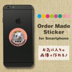  собака кошка домашнее животное хорек стикер / наклейка фотография / имя ввод выполненный под заказ / оригинал 07