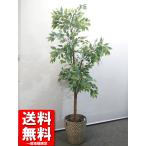  юридическое лицо ограничение бесплатная доставка искусственная зелень офис зеленый декоративное растение интерьер зеленый человеческий труд декоративное растение H1700 б/у 