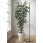  Tokyo район бесплатная доставка Benjamin способ искусственная зелень H1830 / примерно 1.8m интерьер зеленый человеческий труд декоративное растение 