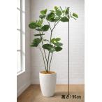  Tokyo район бесплатная доставка umbellata способ искусственная зелень офис зеленый H1900 / 1.9m человеческий труд декоративное растение 